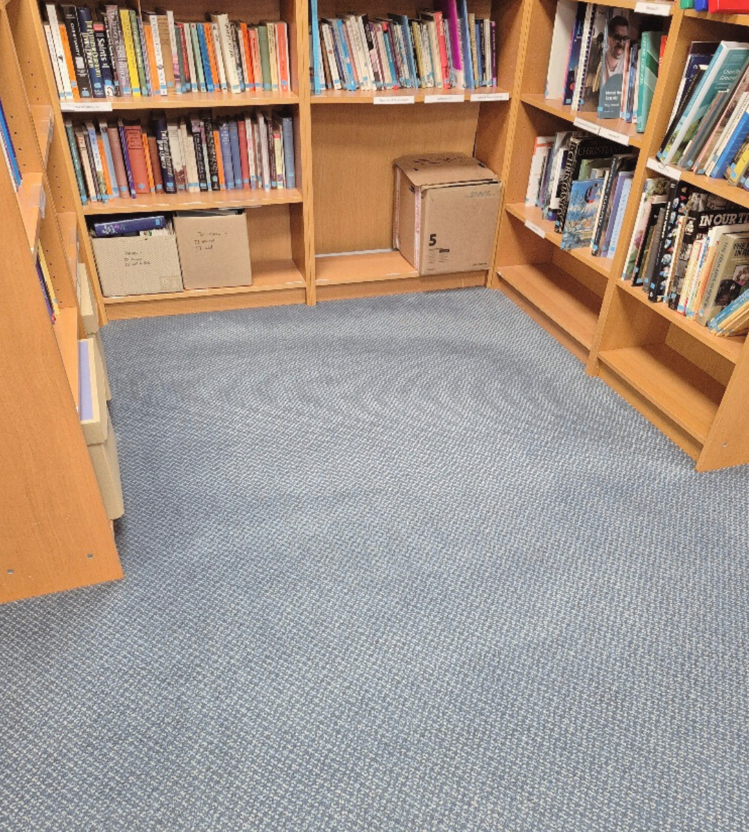 After carpet cleaning transformation
