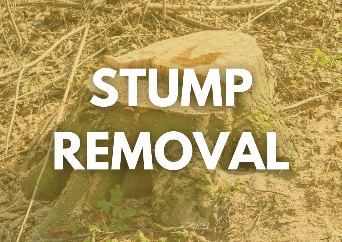 Commercial Stump Removal Commercial Stump Removal