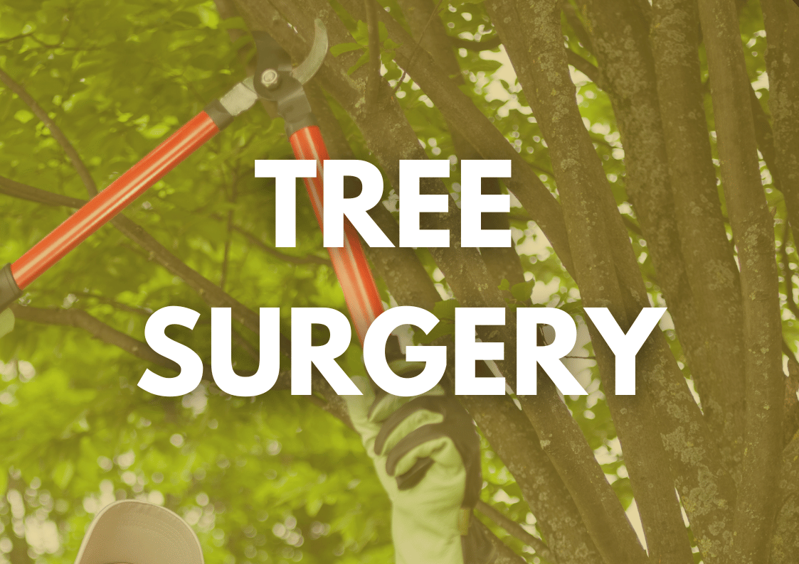 Commercial Tree Surgery Commercial Tree Surgery